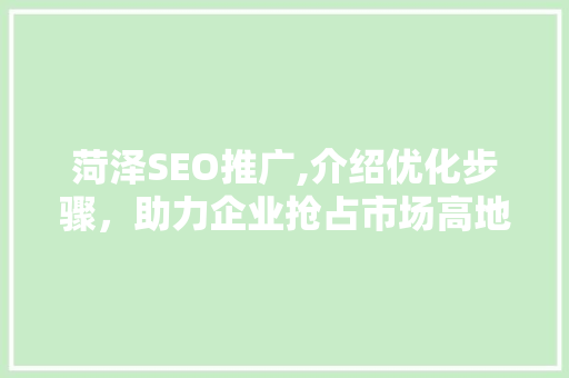 菏泽SEO推广,介绍优化步骤，助力企业抢占市场高地