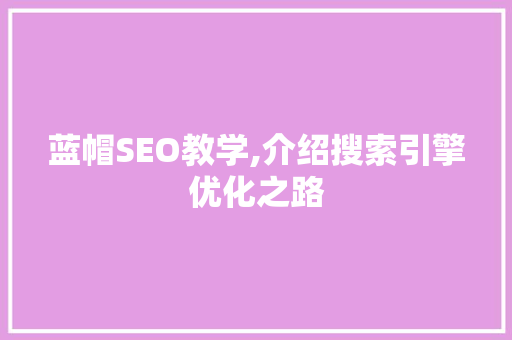 蓝帽SEO教学,介绍搜索引擎优化之路