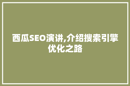 西瓜SEO演讲,介绍搜索引擎优化之路