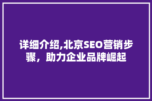 详细介绍,北京SEO营销步骤，助力企业品牌崛起