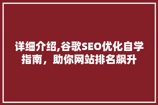 详细介绍,谷歌SEO优化自学指南，助你网站排名飙升