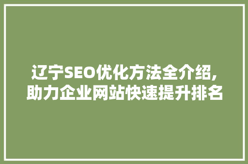 辽宁SEO优化方法全介绍,助力企业网站快速提升排名