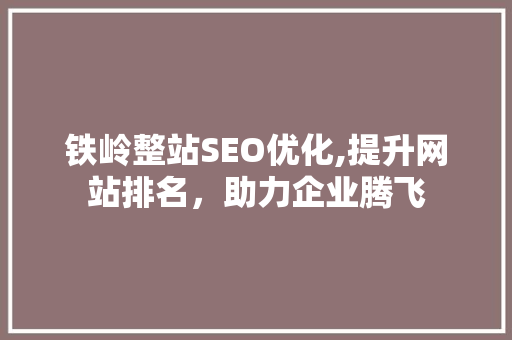 铁岭整站SEO优化,提升网站排名，助力企业腾飞