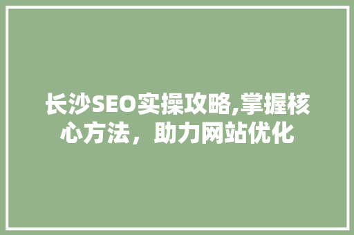 长沙SEO实操攻略,掌握核心方法，助力网站优化