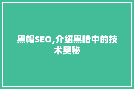 黑帽SEO,介绍黑暗中的技术奥秘