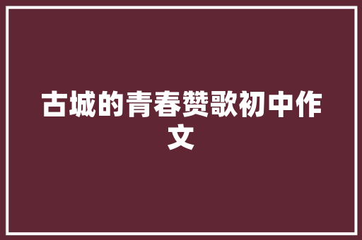 2024年SEO优化步骤,关键词布局的艺术与科学