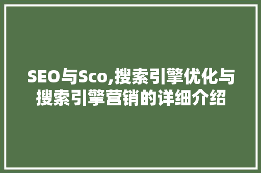 SEO与Sco,搜索引擎优化与搜索引擎营销的详细介绍