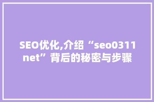 SEO优化,介绍“seo0311net”背后的秘密与步骤