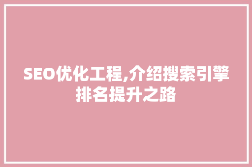 SEO优化工程,介绍搜索引擎排名提升之路