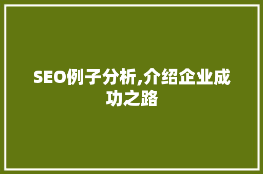 SEO例子分析,介绍企业成功之路