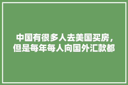 7B代码蓝屏技术挑战与解决方法
