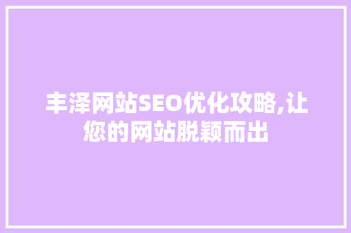 丰泽网站SEO优化攻略,让您的网站脱颖而出
