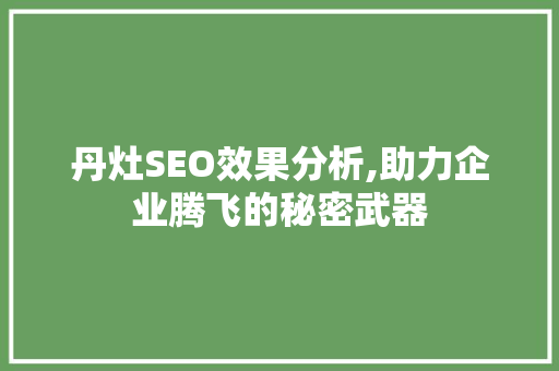 丹灶SEO效果分析,助力企业腾飞的秘密武器