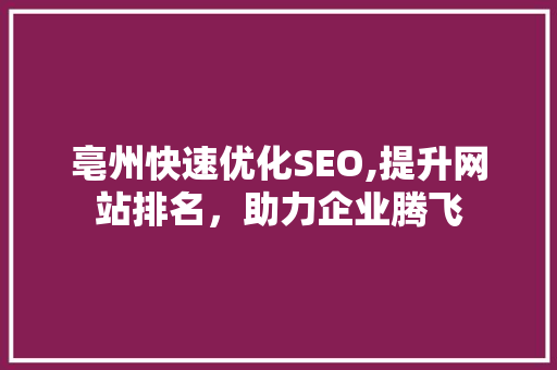 亳州快速优化SEO,提升网站排名，助力企业腾飞  第1张