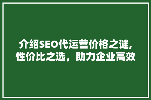 介绍SEO代运营价格之谜,性价比之选，助力企业高效增长  第1张