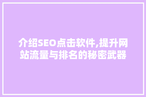 介绍SEO点击软件,提升网站流量与排名的秘密武器
