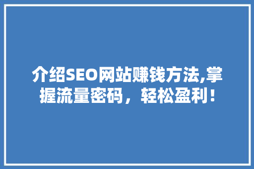 介绍SEO网站赚钱方法,掌握流量密码，轻松盈利！