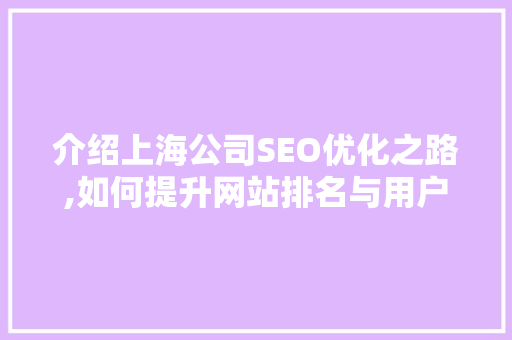 介绍上海公司SEO优化之路,如何提升网站排名与用户体验