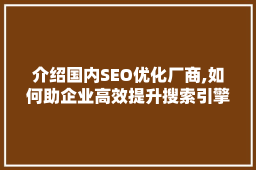 介绍国内SEO优化厂商,如何助企业高效提升搜索引擎排名