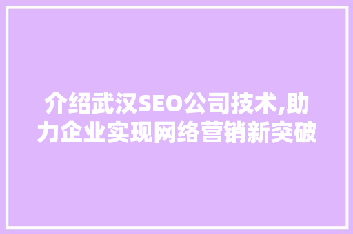 介绍武汉SEO公司技术,助力企业实现网络营销新突破