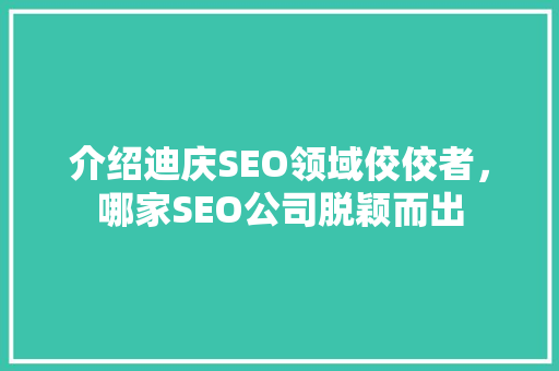 介绍迪庆SEO领域佼佼者，哪家SEO公司脱颖而出