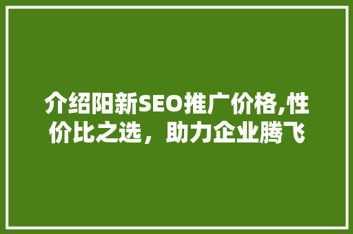 介绍阳新SEO推广价格,性价比之选，助力企业腾飞