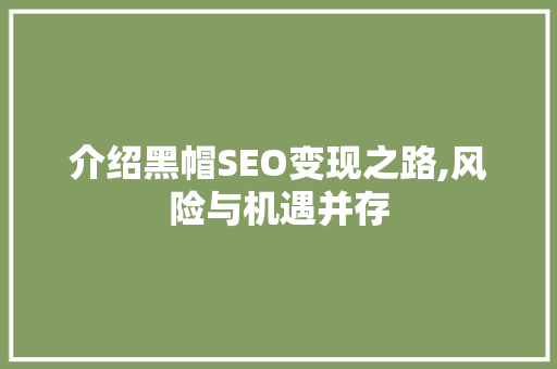 介绍黑帽SEO变现之路,风险与机遇并存