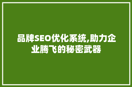品牌SEO优化系统,助力企业腾飞的秘密武器