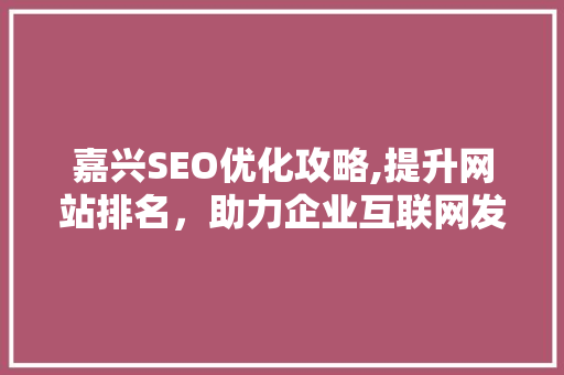 嘉兴SEO优化攻略,提升网站排名，助力企业互联网发展