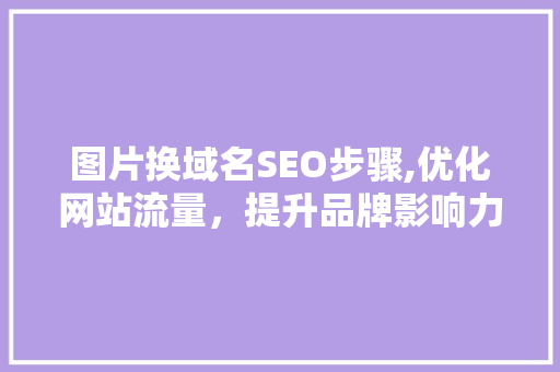 图片换域名SEO步骤,优化网站流量，提升品牌影响力