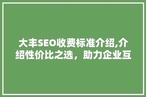 大丰SEO收费标准介绍,介绍性价比之选，助力企业互联网营销