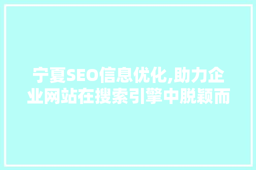 宁夏SEO信息优化,助力企业网站在搜索引擎中脱颖而出