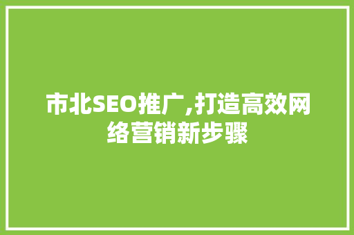 市北SEO推广,打造高效网络营销新步骤