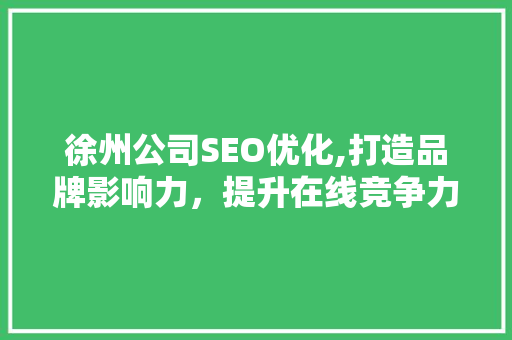 徐州公司SEO优化,打造品牌影响力，提升在线竞争力