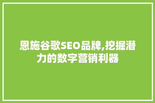 恩施谷歌SEO品牌,挖掘潜力的数字营销利器