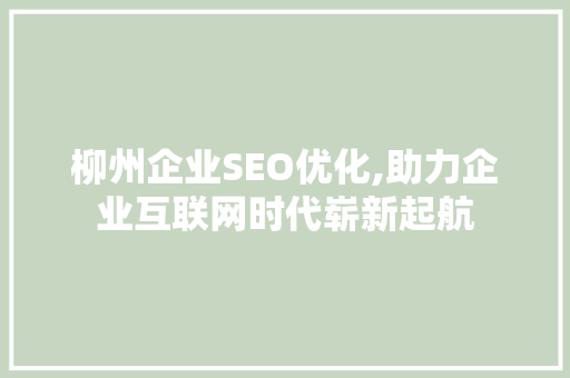 柳州企业SEO优化,助力企业互联网时代崭新起航