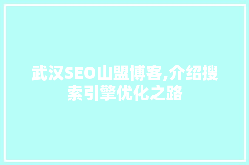 武汉SEO山盟博客,介绍搜索引擎优化之路