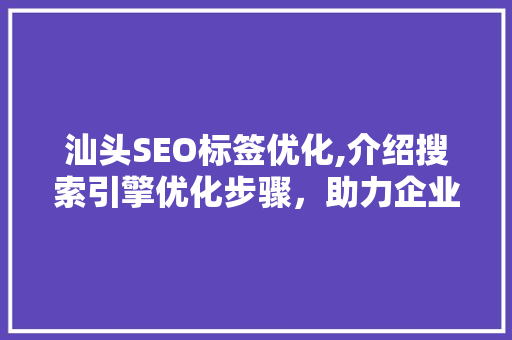 汕头SEO标签优化,介绍搜索引擎优化步骤，助力企业抢占网络市场
