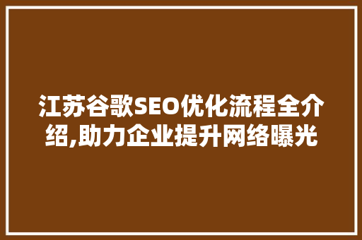 江苏谷歌SEO优化流程全介绍,助力企业提升网络曝光度