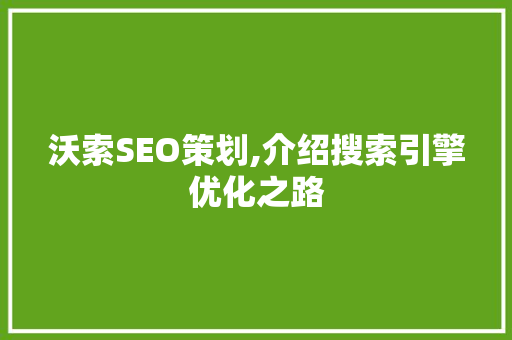 沃索SEO策划,介绍搜索引擎优化之路  第1张