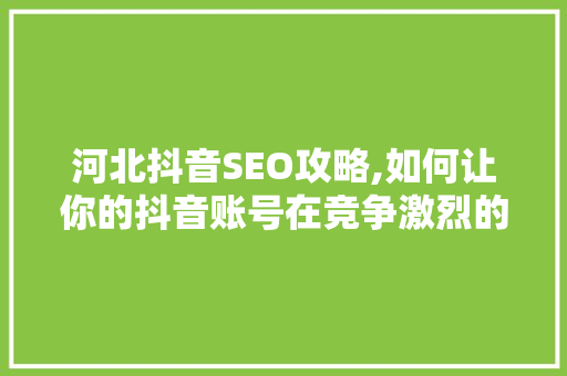 河北抖音SEO攻略,如何让你的抖音账号在竞争激烈的市场中脱颖而出  第1张