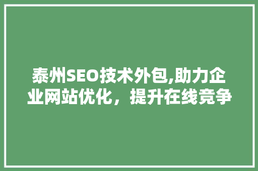 泰州SEO技术外包,助力企业网站优化，提升在线竞争力