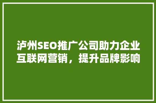泸州SEO推广公司助力企业互联网营销，提升品牌影响力