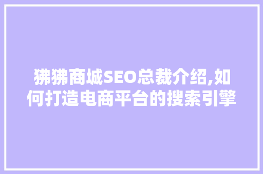 狒狒商城SEO总裁介绍,如何打造电商平台的搜索引擎优化之路