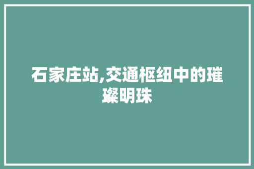 石家庄站,交通枢纽中的璀璨明珠