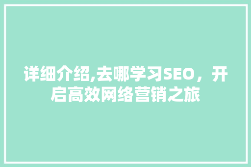 详细介绍,去哪学习SEO，开启高效网络营销之旅