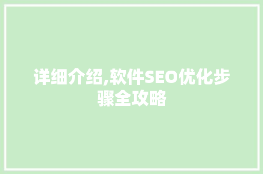详细介绍,软件SEO优化步骤全攻略