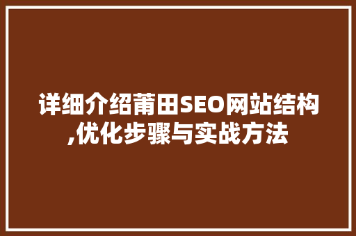 详细介绍莆田SEO网站结构,优化步骤与实战方法