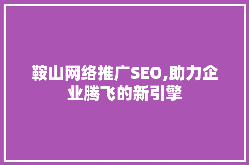 鞍山网络推广SEO,助力企业腾飞的新引擎