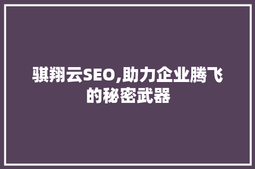 骐翔云SEO,助力企业腾飞的秘密武器